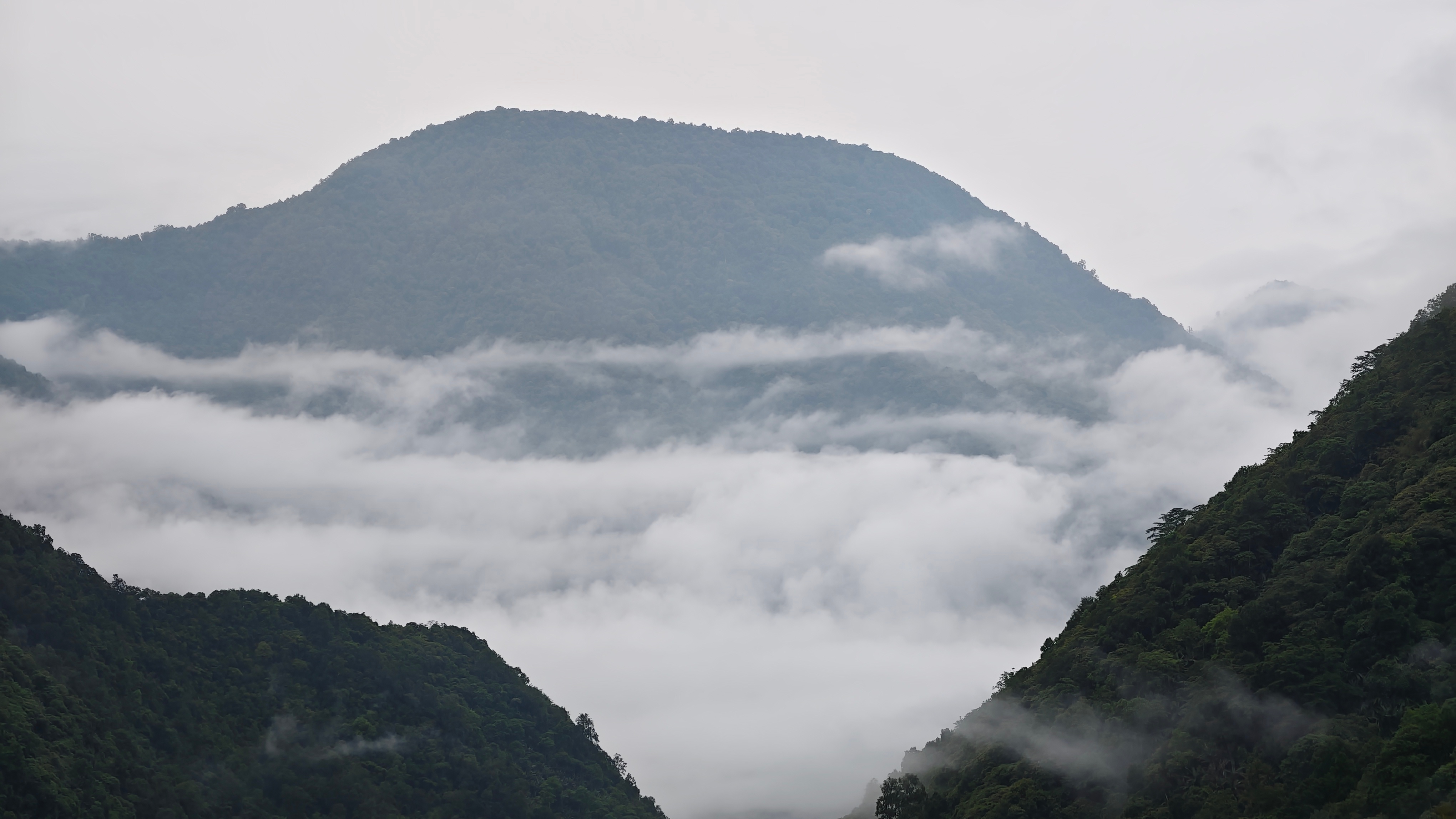 墨脱茶山云海 