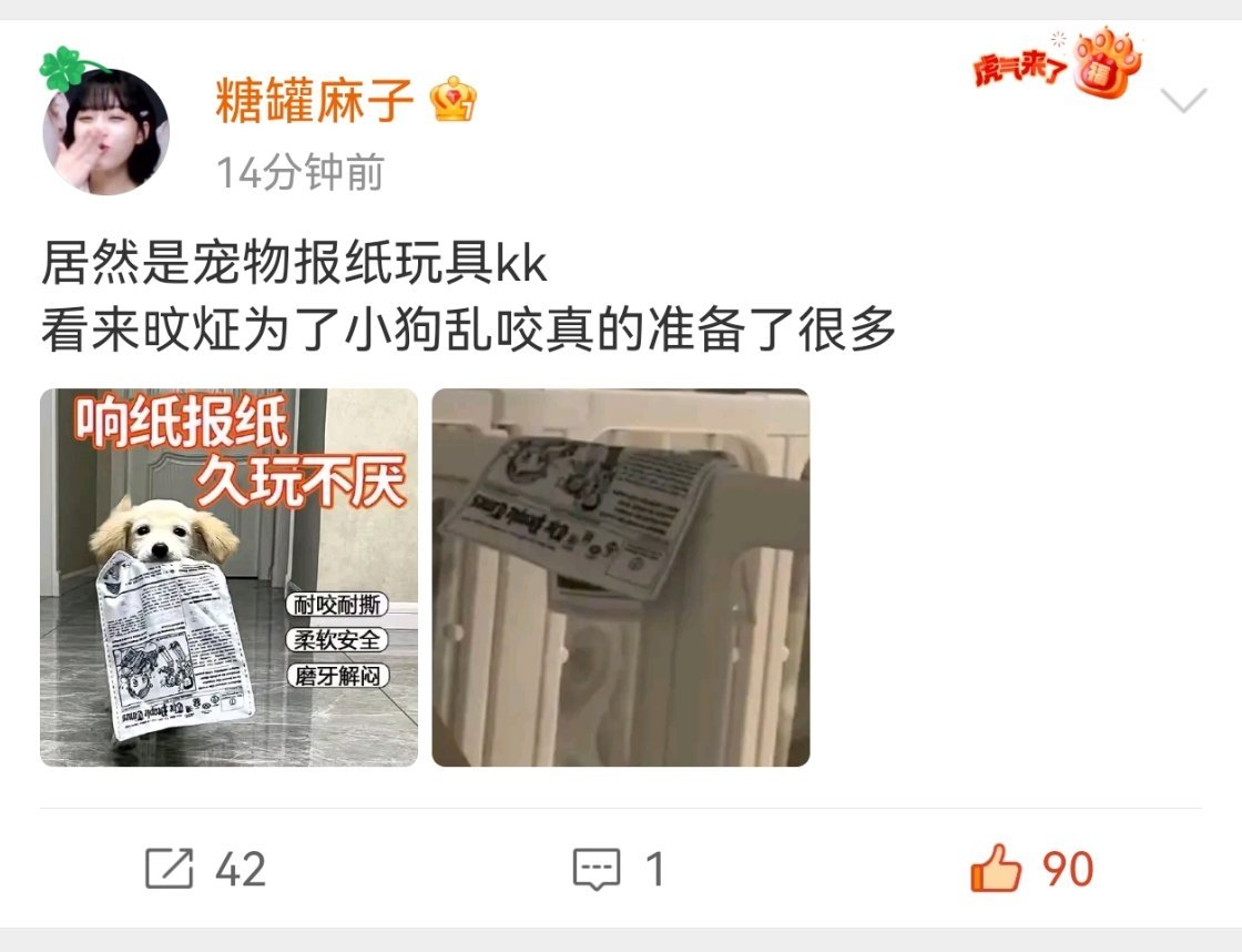 从照片视频里透露出的小小细节可以看出波妞被照顾得很好 不上线的日子旼炡和波妞有在