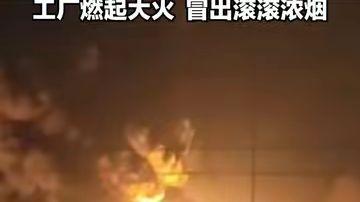 泽连斯基突袭俄本土炼油厂，普京随后抛出停火方案——听起来像是让步，但你仔细看条款
