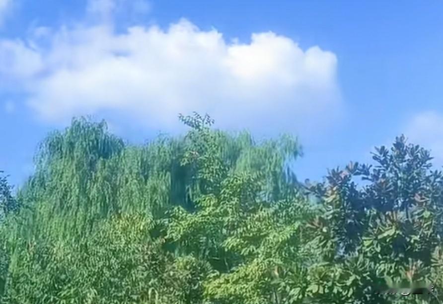 你信吗？人性大多数时候都是只站在利益这一边的。
 
 
很多人说人性本善，可经历