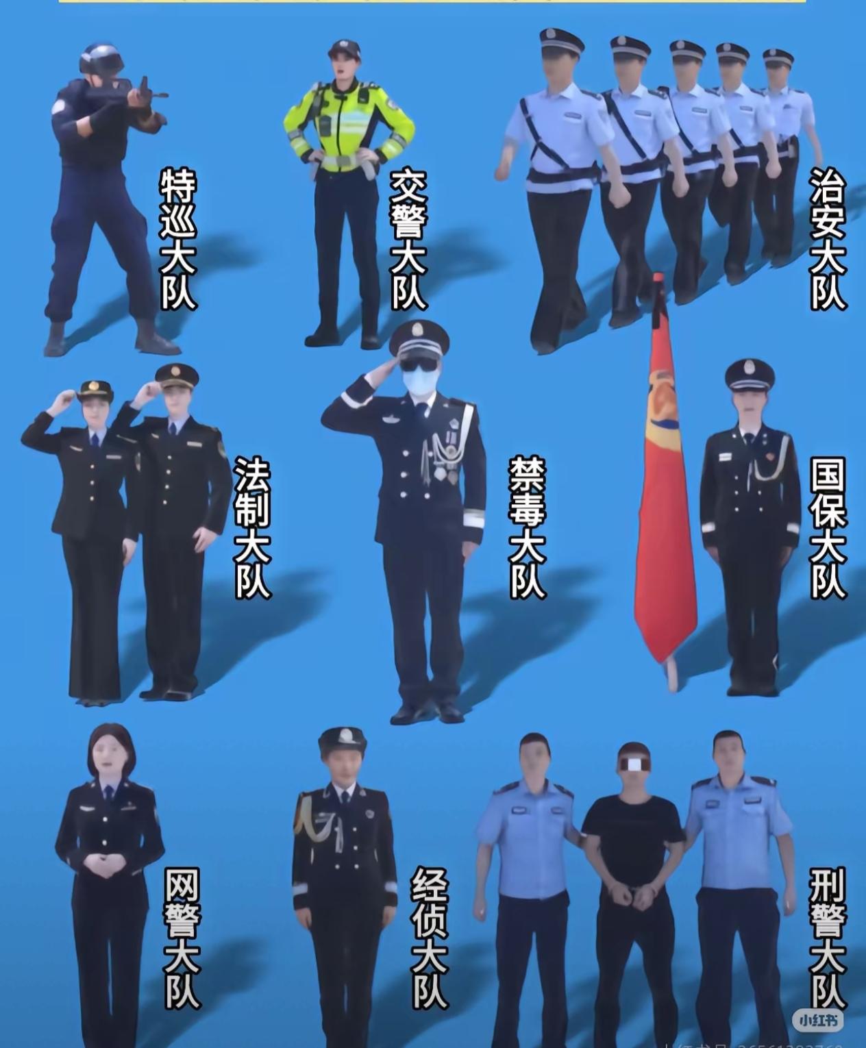 原来公安系统里设置这么多的大队，这张图片都说清楚了:
1、特巡大队；
​2、交警