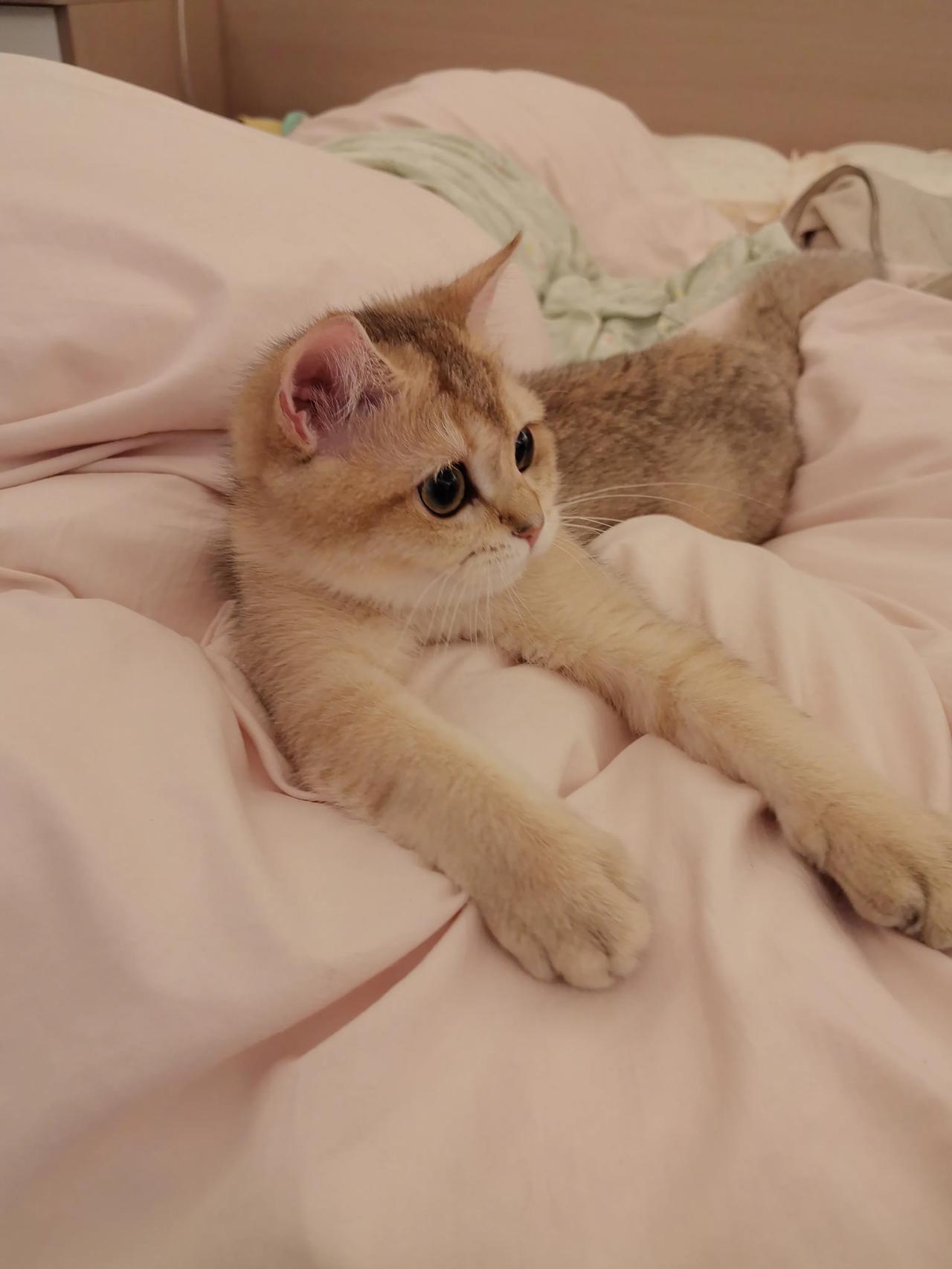 男人上班带饭一点都不丢人！我身边就有陈建军这样的例子。他四十二岁，在制造企业做技