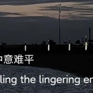 情感语录 万籁俱寂的深夜 对着电脑屏幕总会没来由地满心低落 我总把眼前熬不完的重