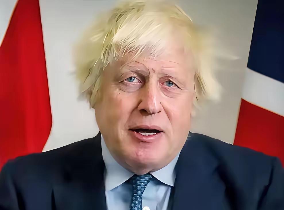 英国前首相鲍里斯·约翰逊在新首相就任的当天（7月20日）在电视节目中表示："我希