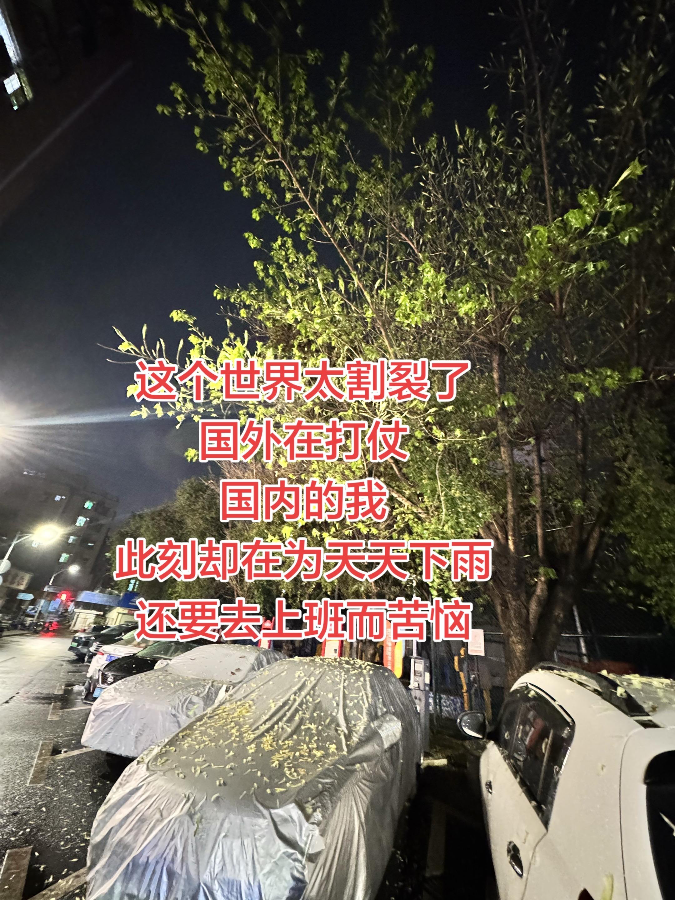 此刻，唯愿世界和平