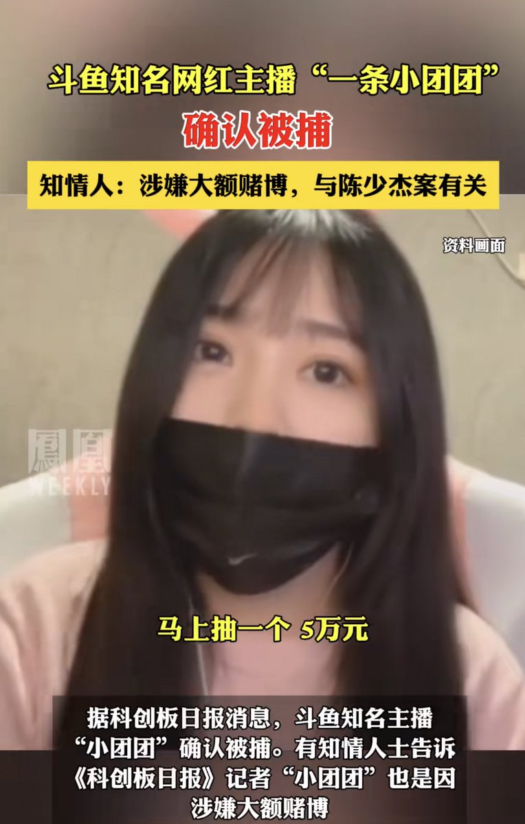 一条小团团没退网，而是落网了。涉嫌网络赌博，目前斗鱼的大主播们，退网的退网，落网