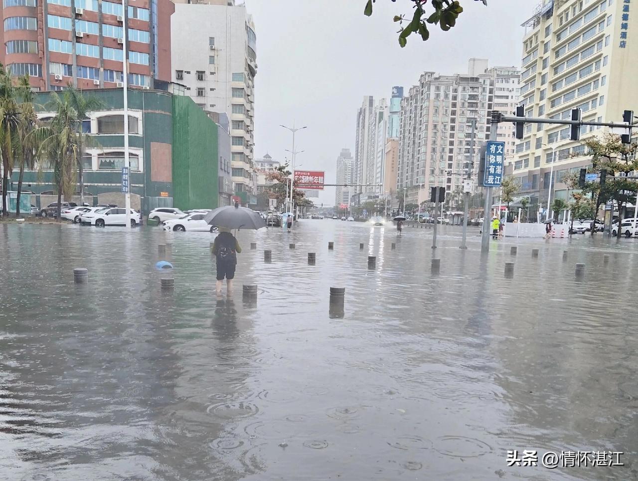 好雨知时节，当春乃发生。2026年春天的第一场大雨，湛江市霞山区海滨大道南路段，