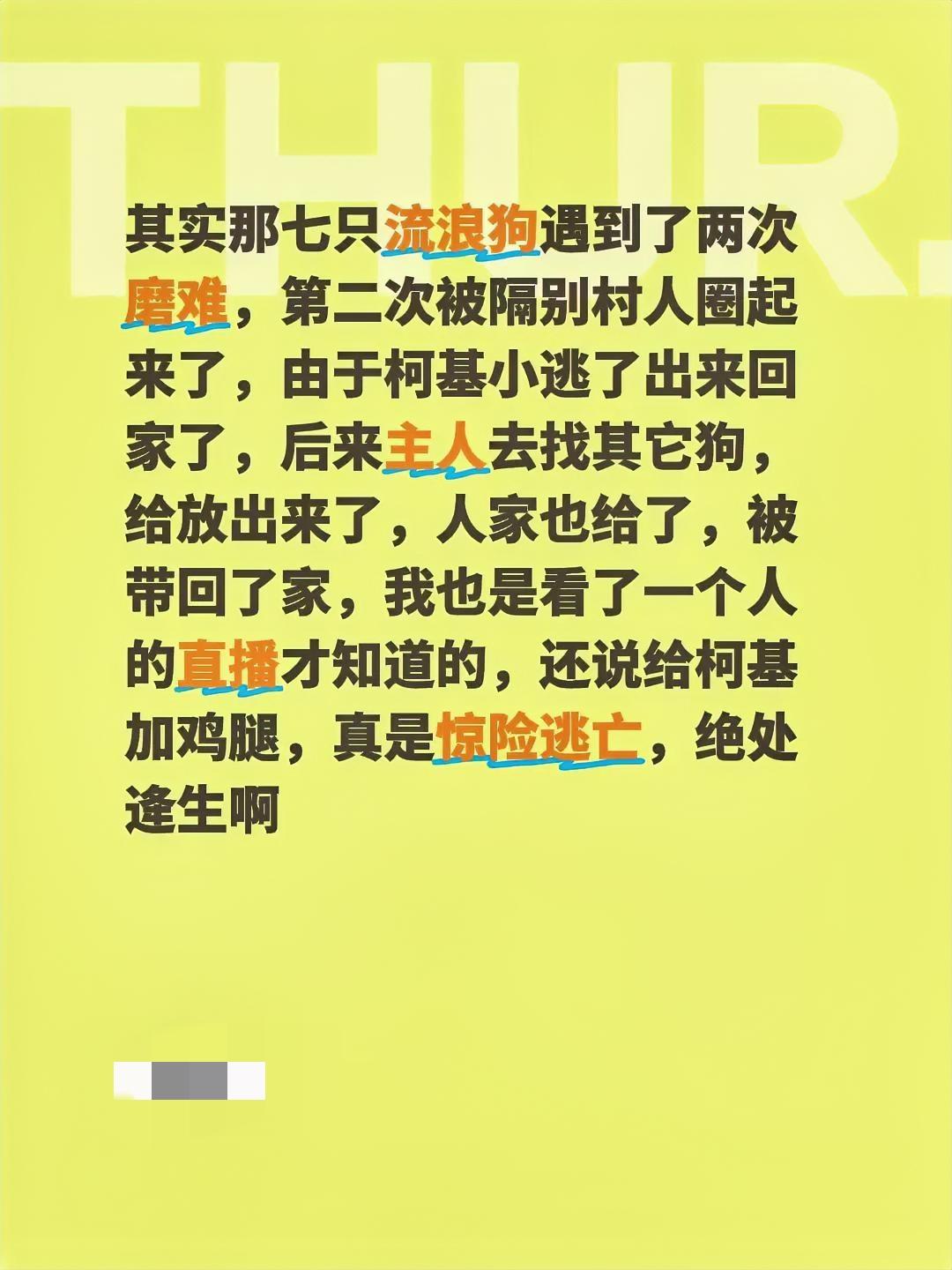 长春这7只狗狗的逃亡路，远比我们看到的更惊险！
它们先是被偷狗贼掳走，咬破笼子从