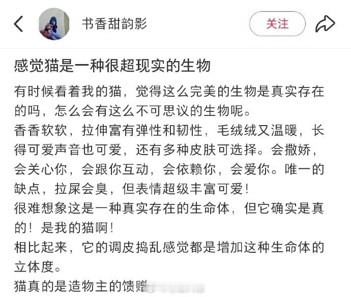 我感觉猫是造物主的馈赠 