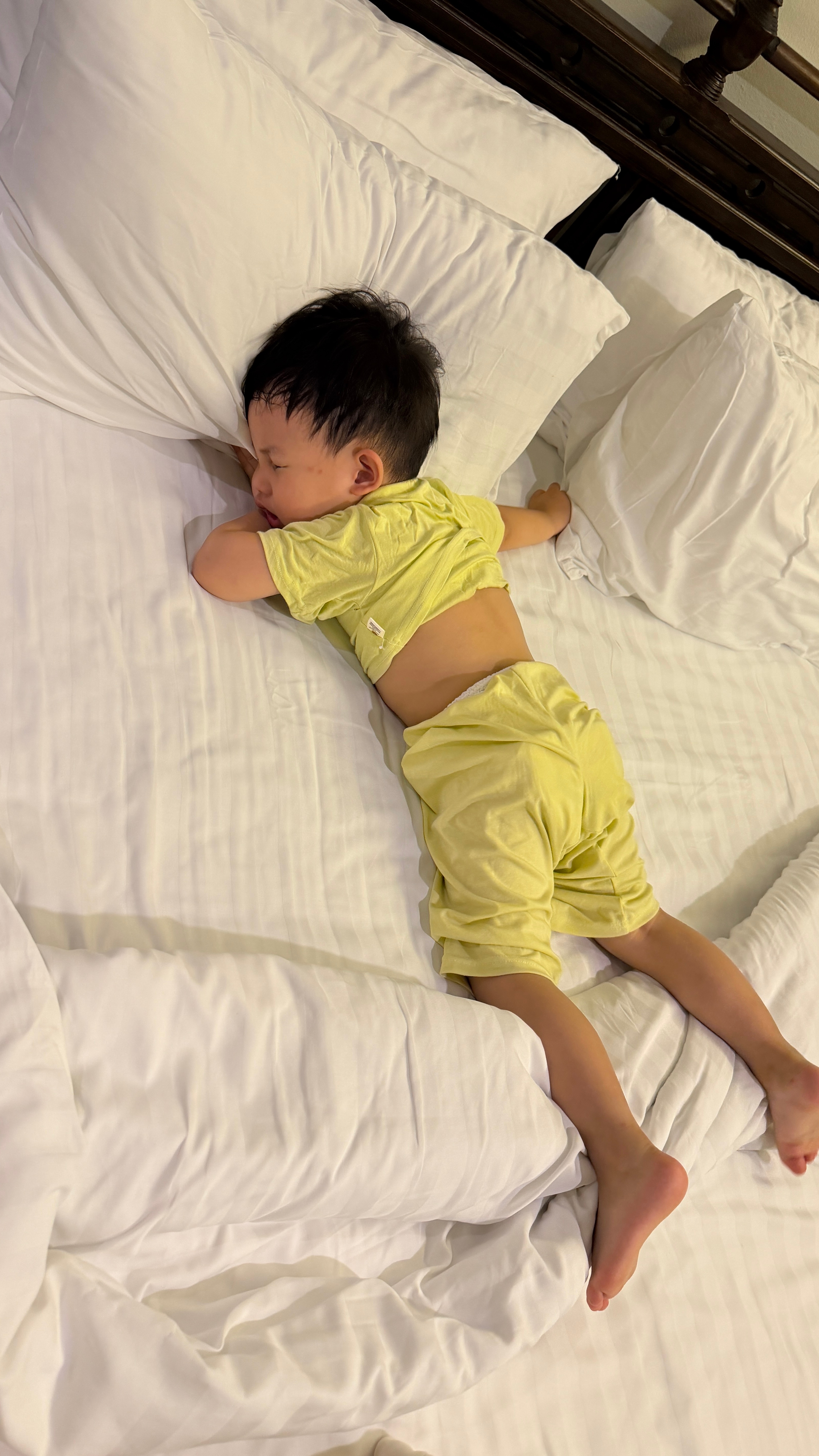 年纪大了。昨天上午拍视频，下午回家收拾。今天就累了。。。 