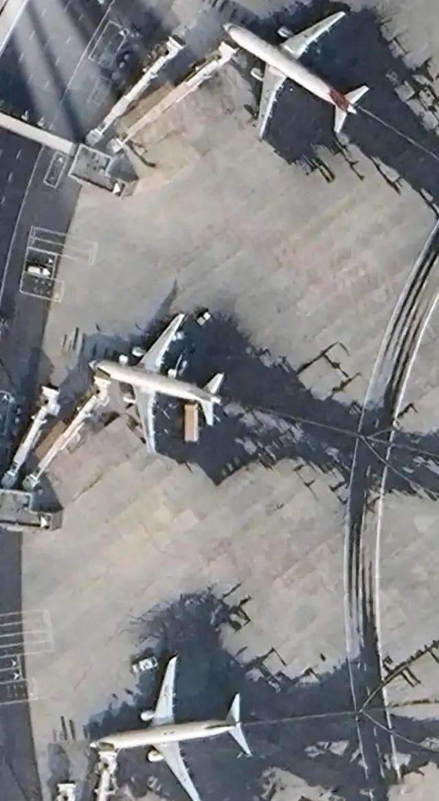 委内瑞拉这一手“反客为主”，真是有高人在背后支招啊。
 
48小时内连窝端了9架