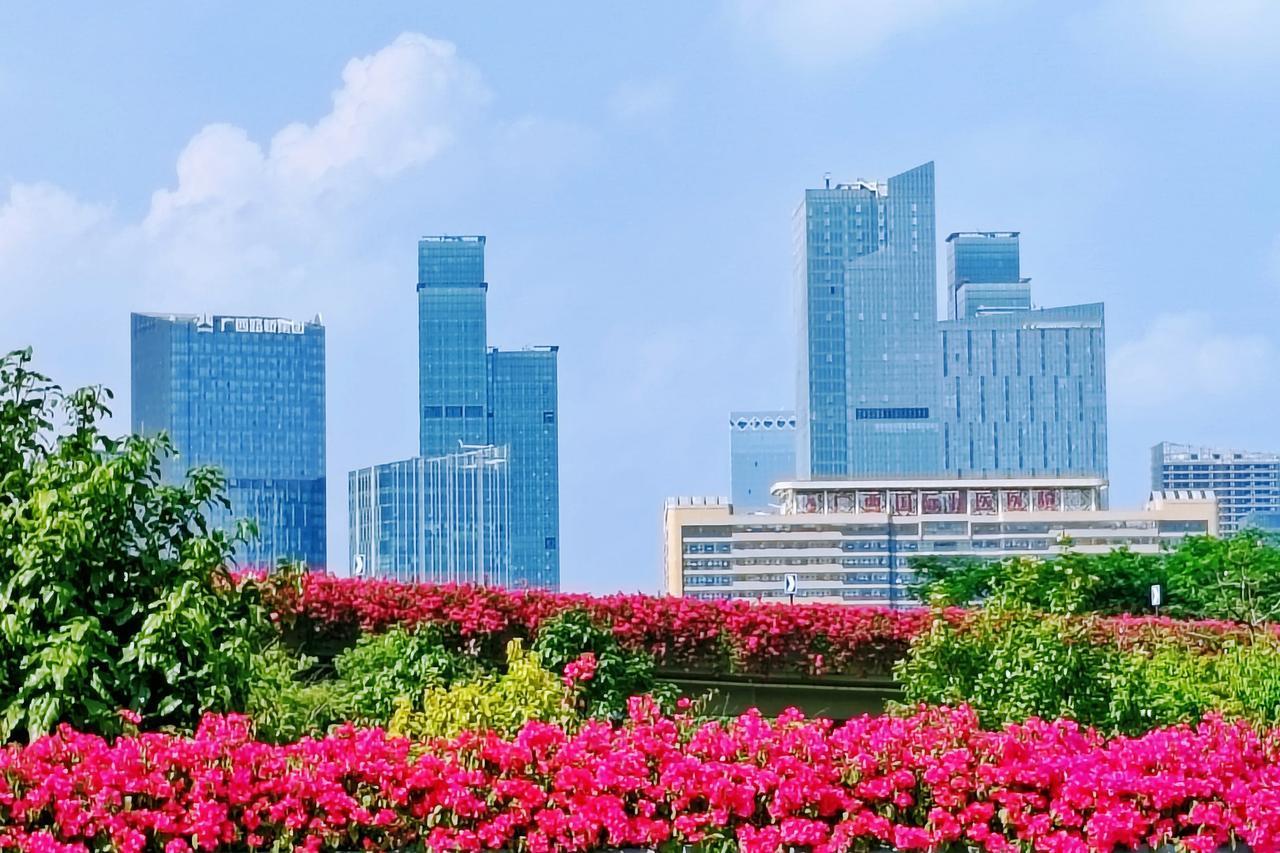 南宁秋高气爽，处处鲜花盛开。#分享一张你最喜欢的城市的照片##记录南宁美好生活#