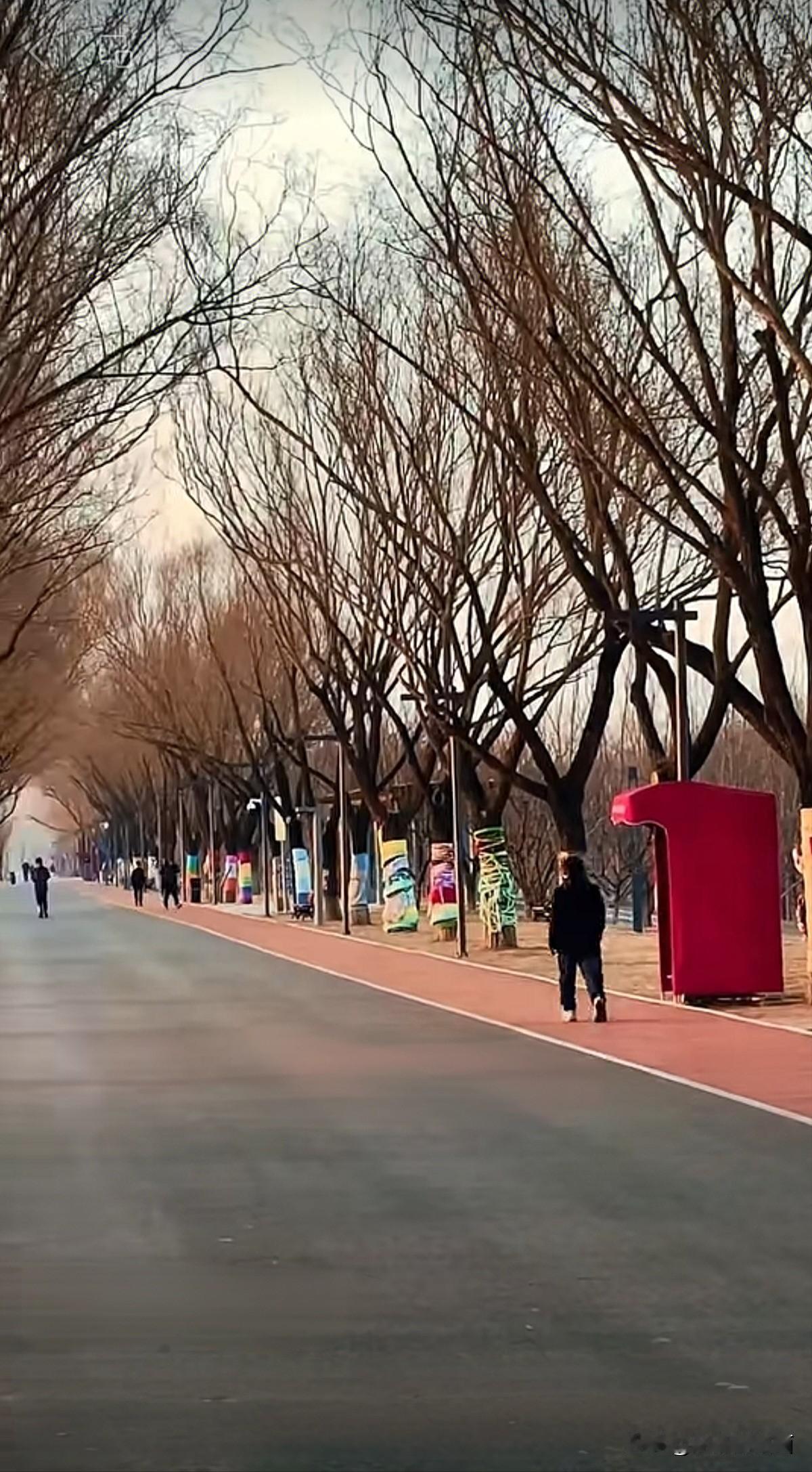 今日随手拍白浮泉公园树木都穿上了新衣裳，好像在欢迎春节的到来。白浮泉福海水面上的