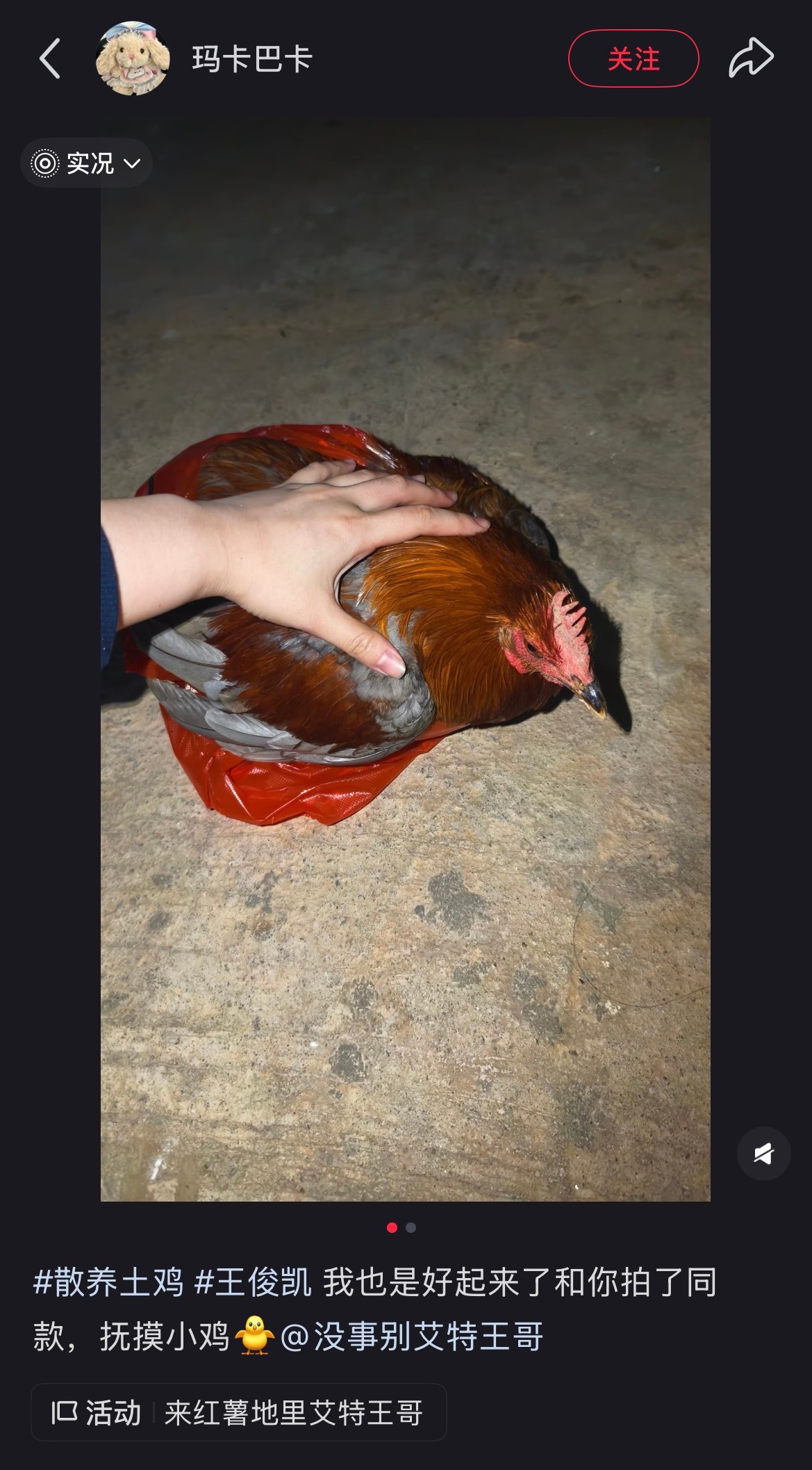 我要被xpx笑丝，半夜起来跑去摸了自家的鸡拍同款。。。 