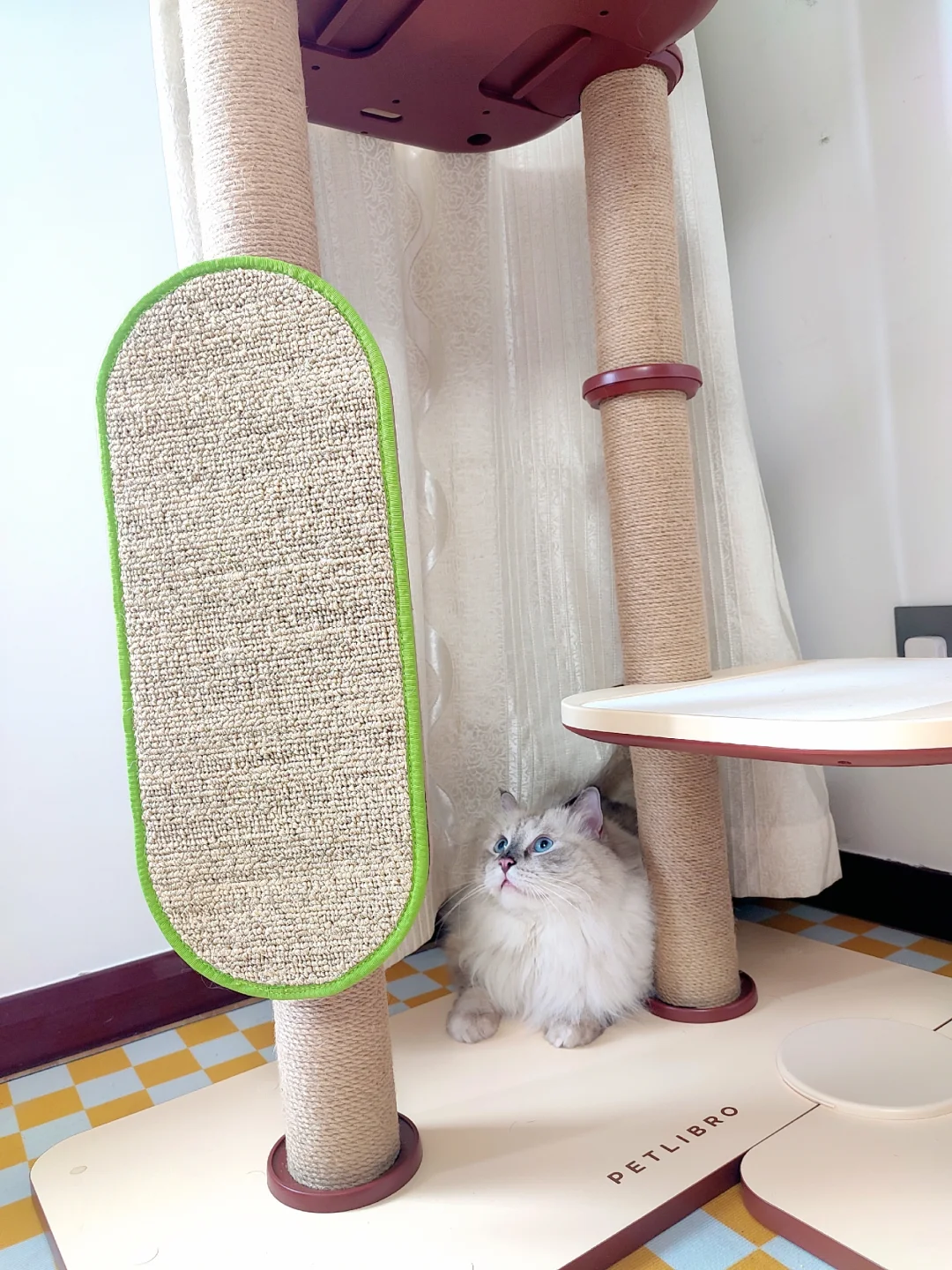猫房改造进行时……