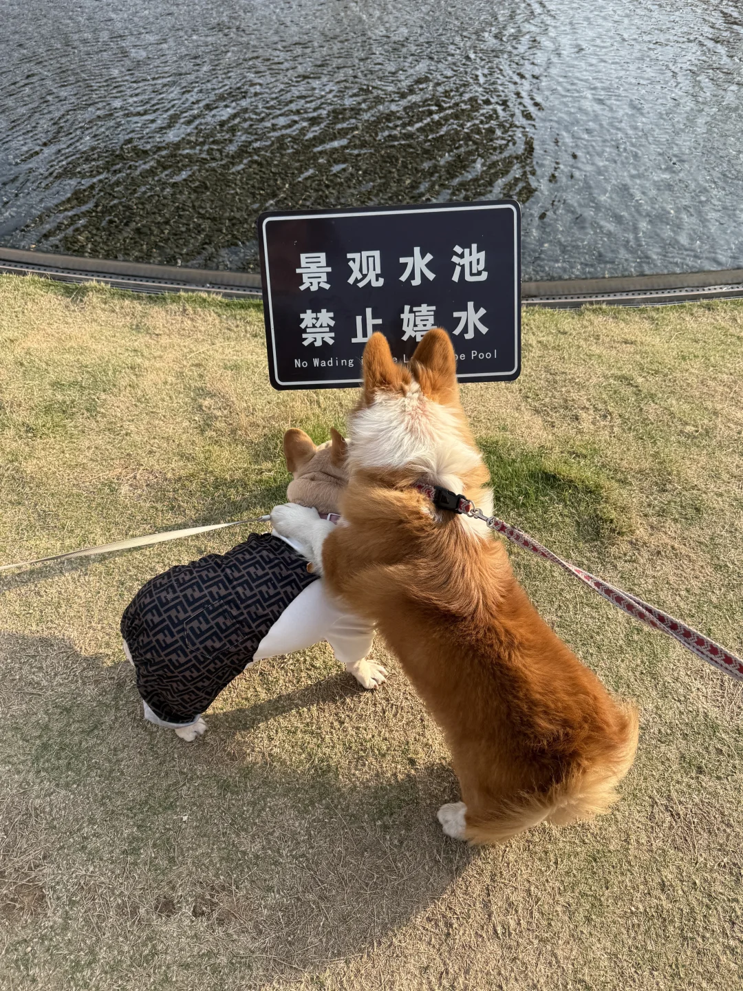 看就看 非得搭我身上吗😤