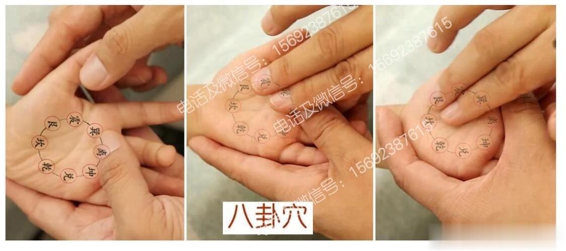 调脾胃的 21条常识，对你很有用#宋飞中医育儿# 1.多数深埋在土里的食物，比如