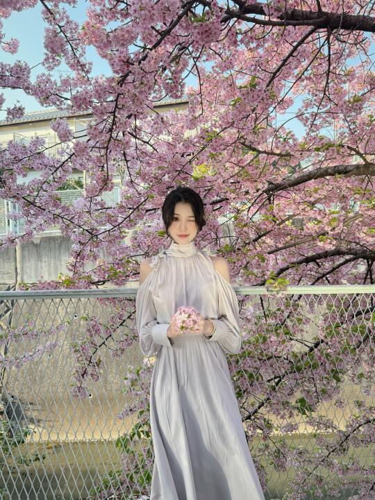 🇯🇵花粉季的鼻炎患者在东京太难了🥹