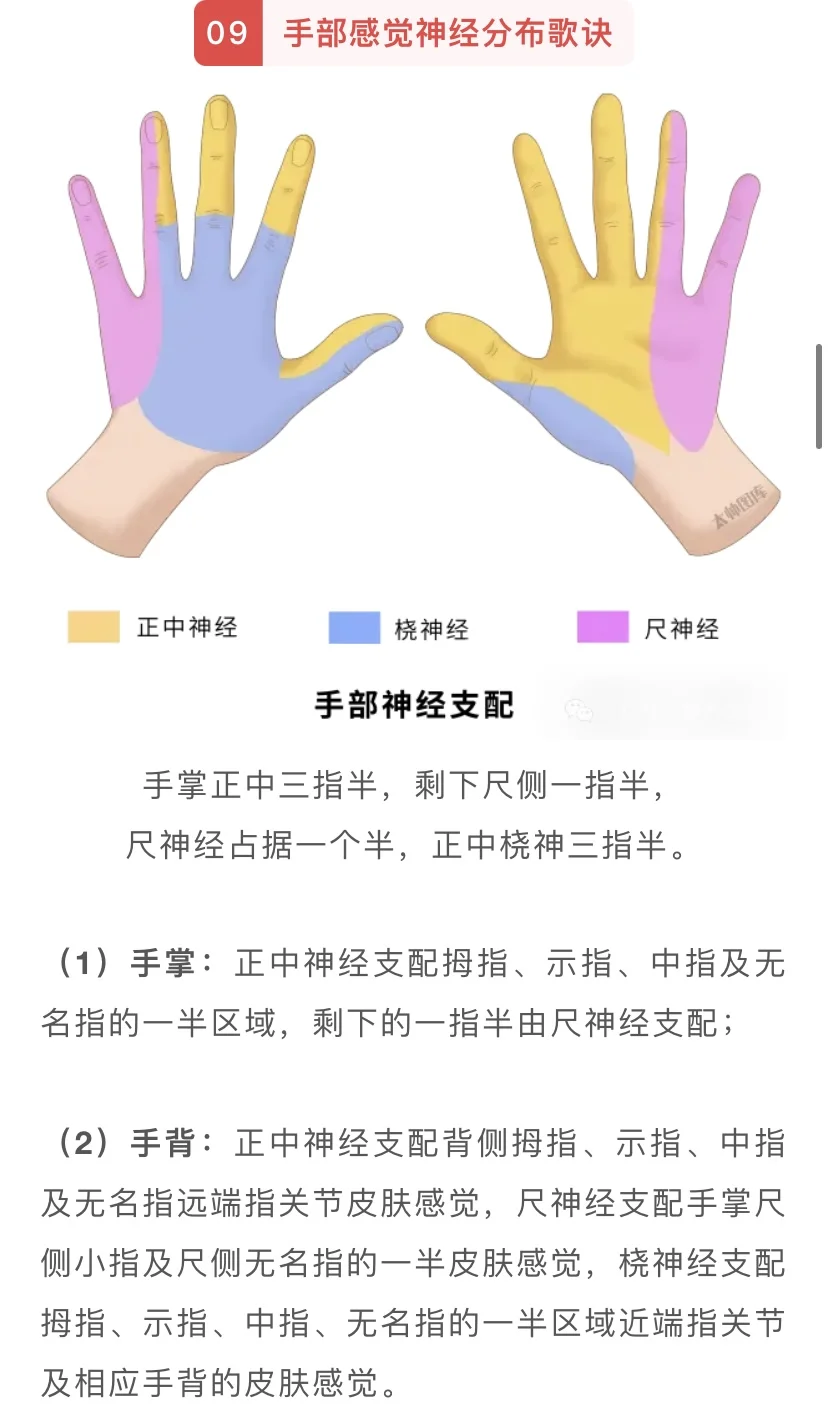 神经发育口诀总结！！！