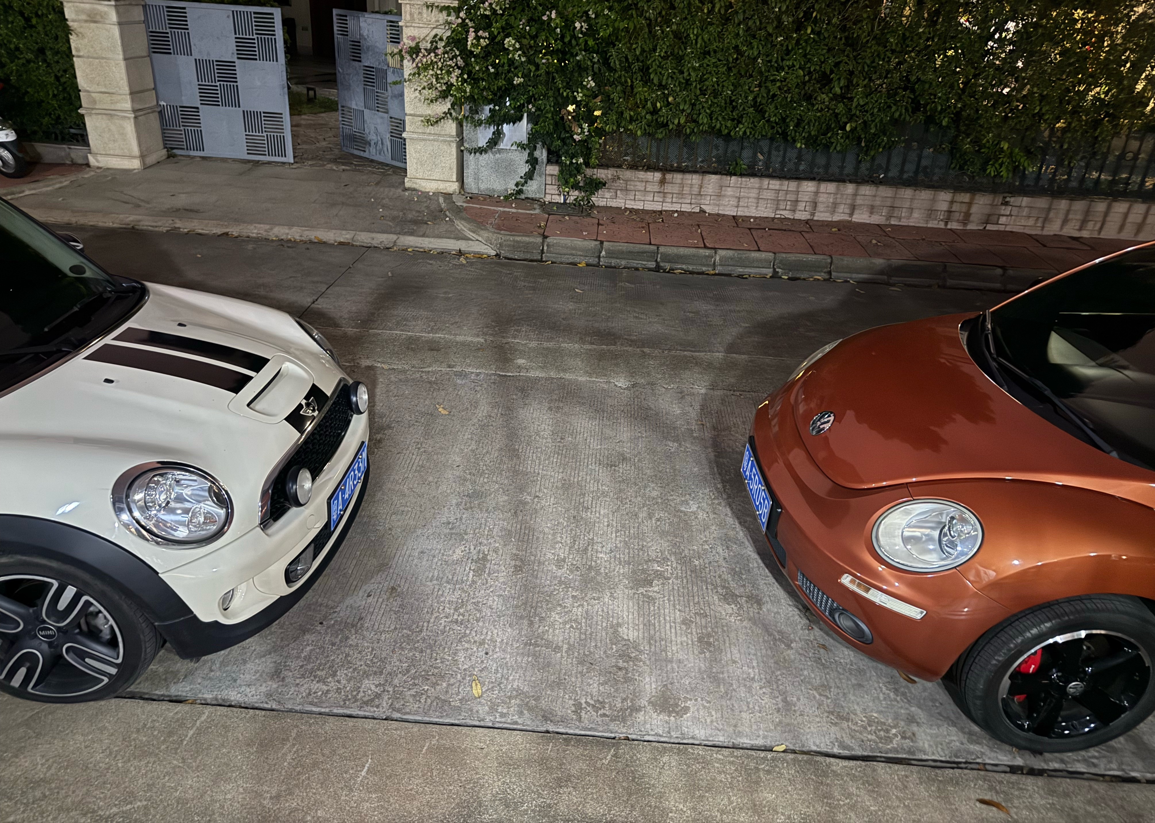 她们在聊什么呢 