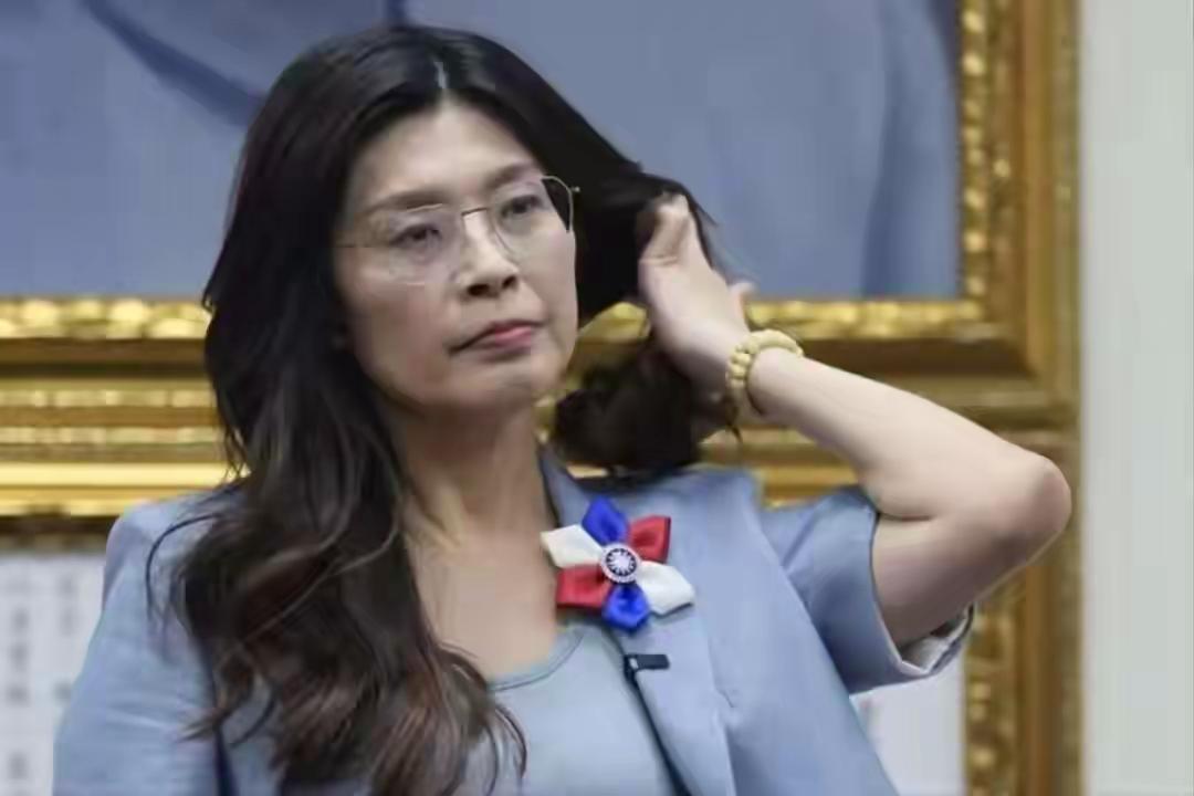 国民党重回正轨，蔡正元语出惊人，郑丽文请来关键一人
 
郑丽文当选国民党主席后，