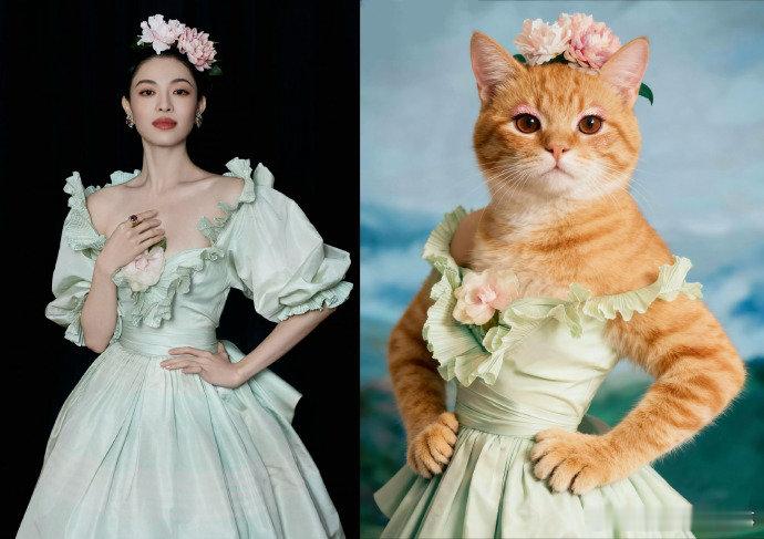 女喵星们的VOGUE女明星造型 钟楚曦橘猫般明艳张扬，娜扎白猫纯净无死角，王玉雯