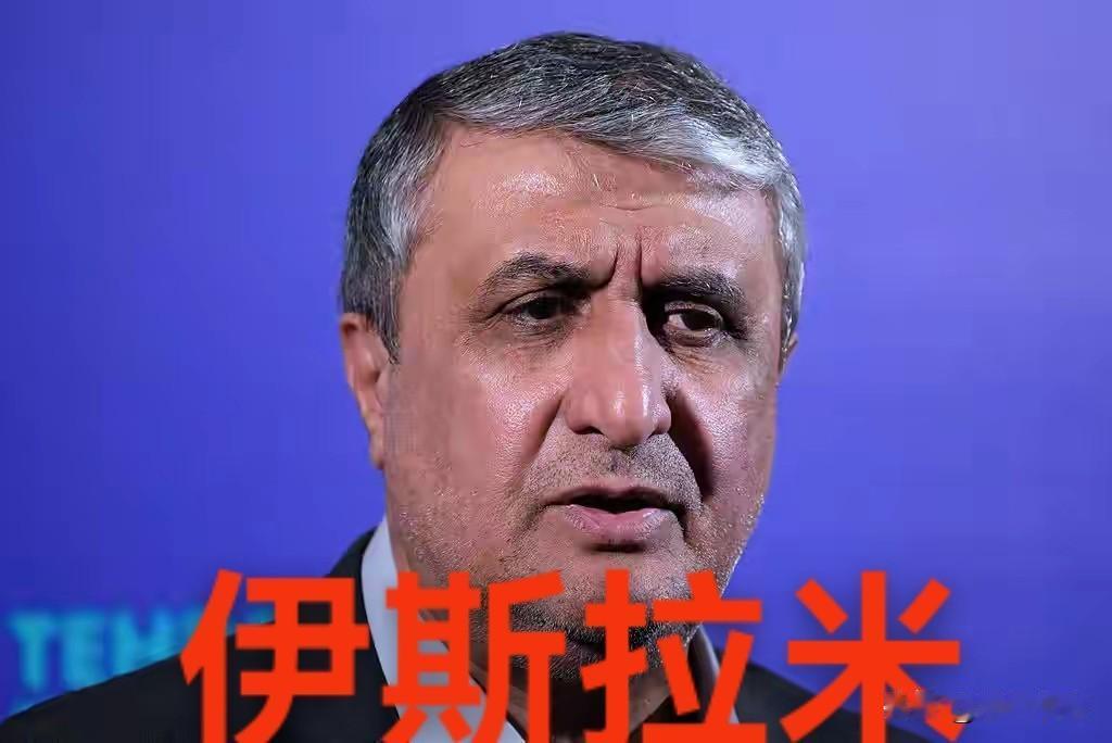 美国政府施压奥地利，导致伊朗原子能组织主席无法参加在维也纳举办的国际原子能机构（