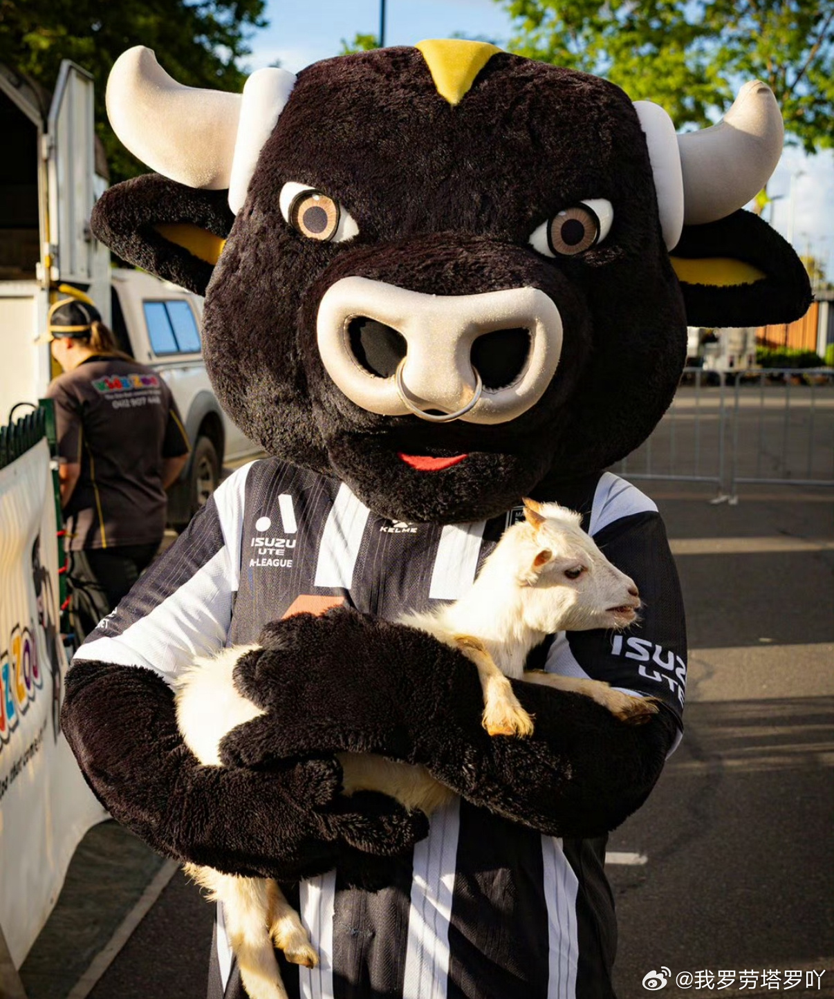 麦克阿瑟的主场，向来是强者的试金石，中央海岸此番挑战，能否全身而退，成就一段佳话