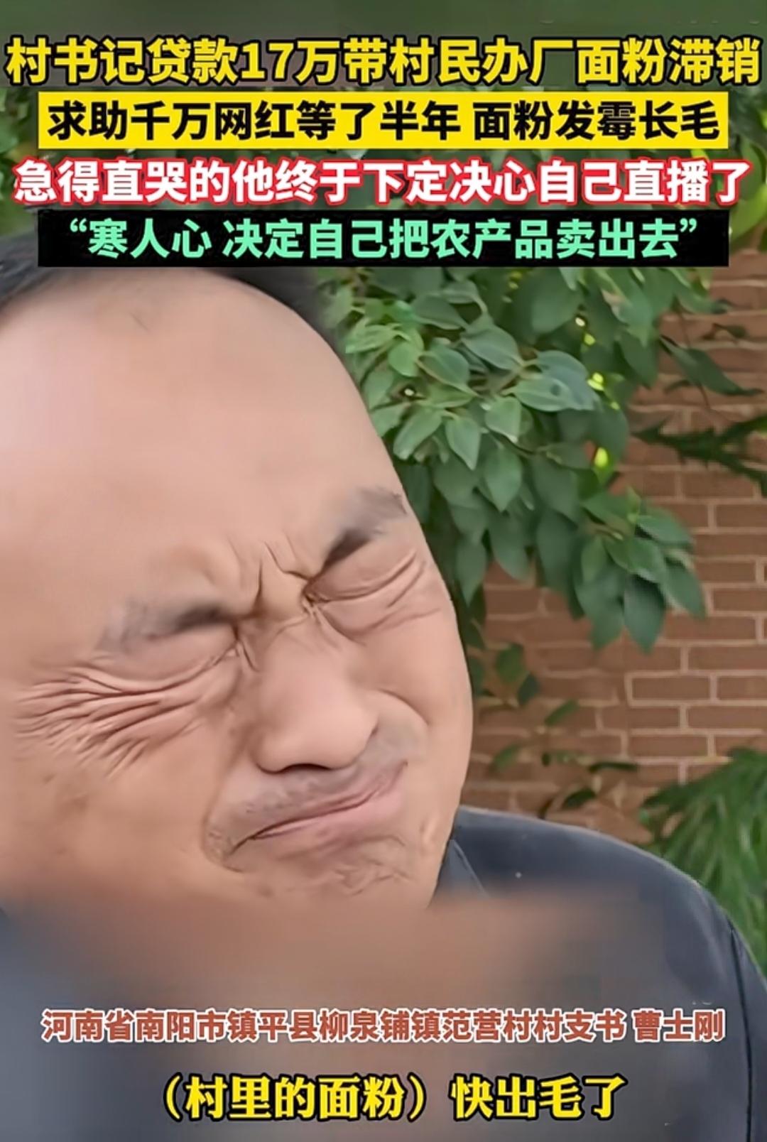 村支书贷款17万带村民办厂，面粉滞销长毛急哭！求助网红半年被放鸽子，村支书决定自