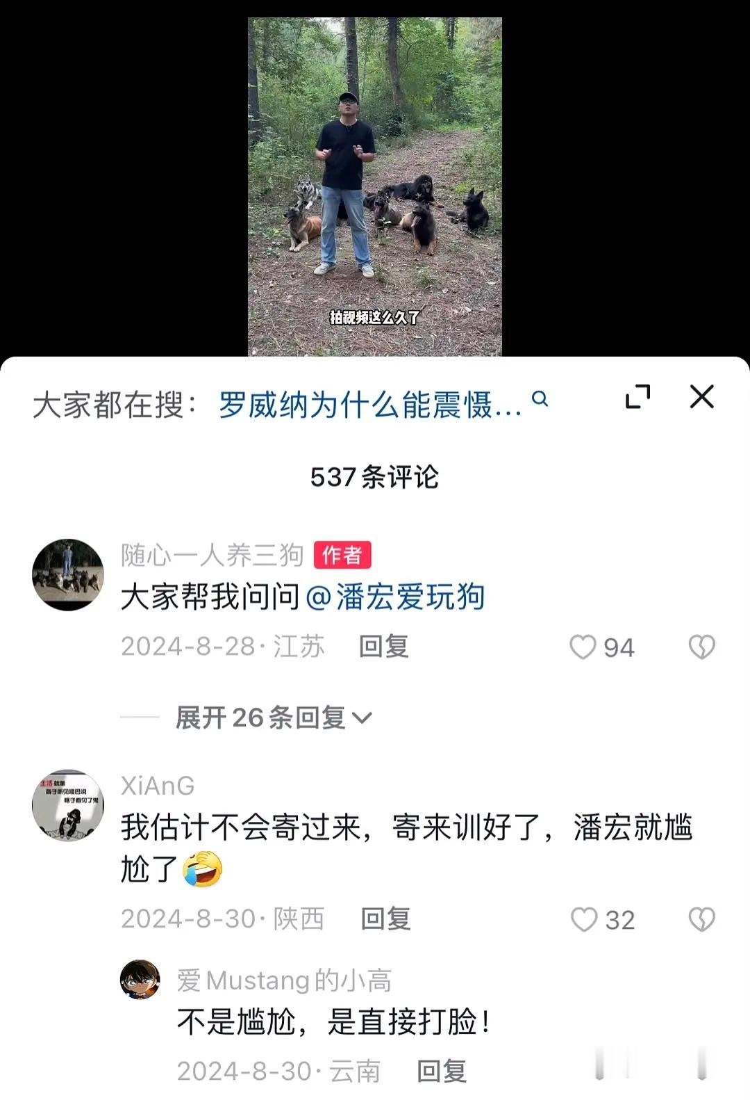 潘宏这个人说的话一点都不要信，早都有正规驯犬博主质疑他了这个博主很早就看不惯潘某