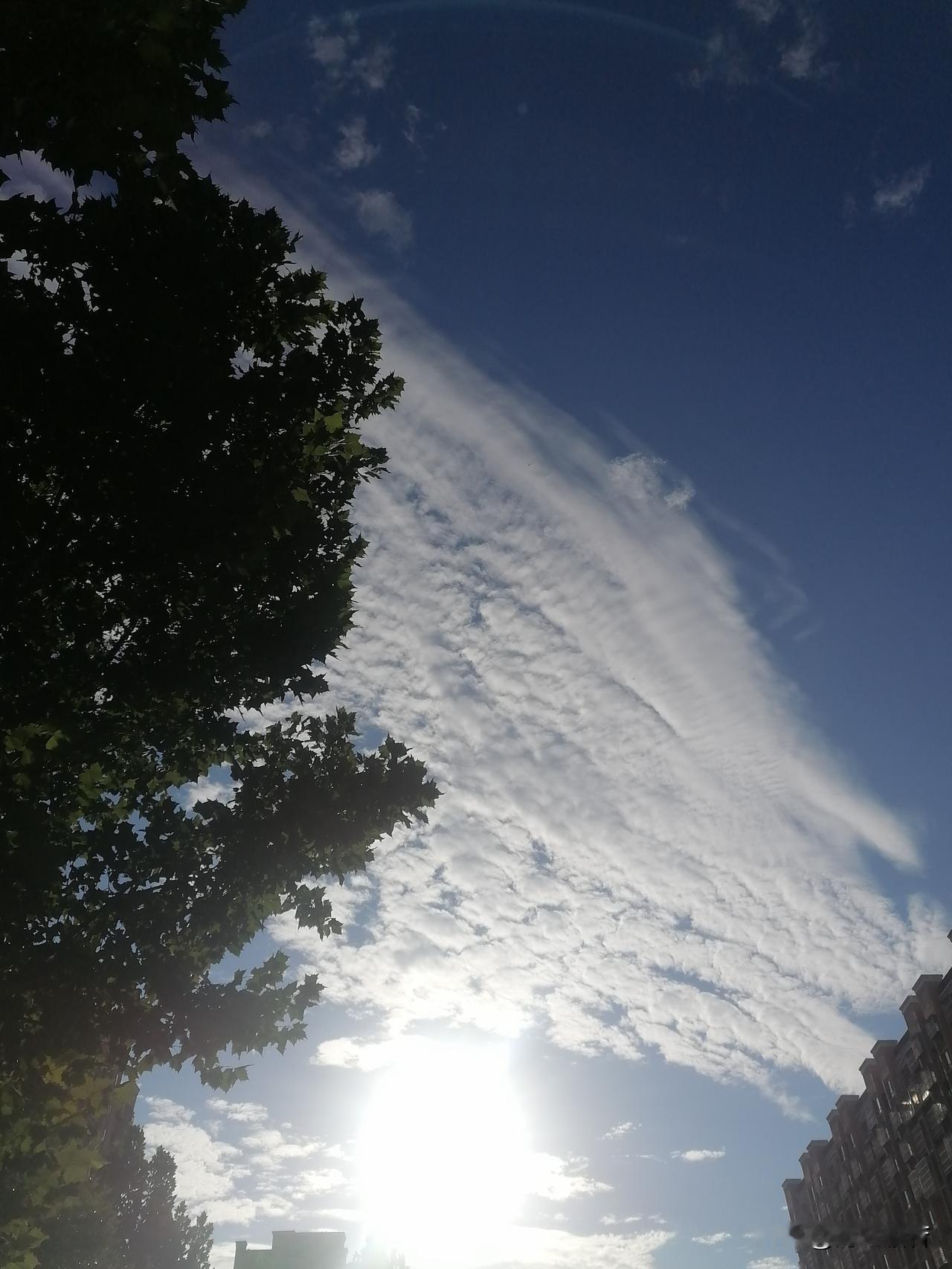 9.21北京天气，清晨有雾，全天晴，18℃~29℃。北转南风2-3级，紫外线较强