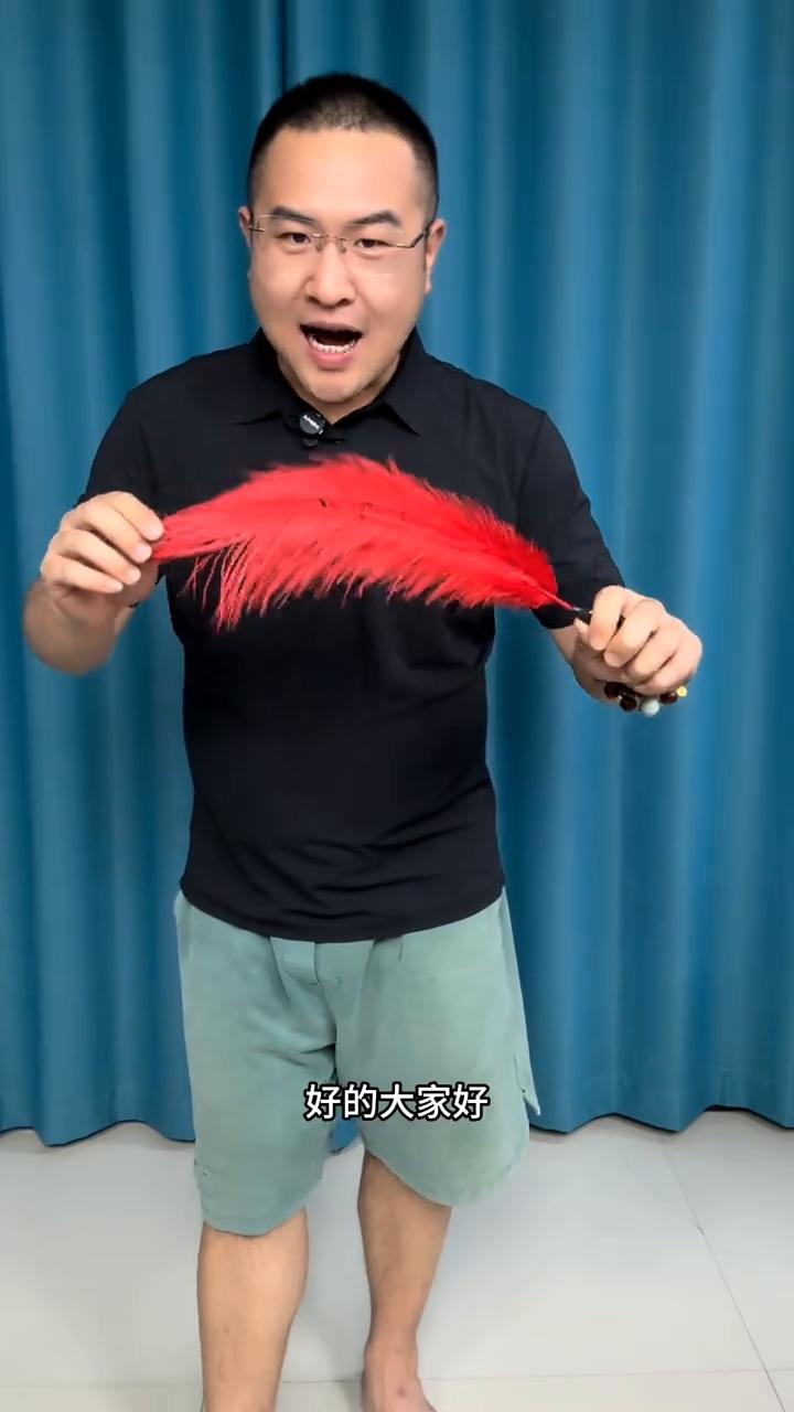大叔表演丝巾变铁棒，这招真的太帅了。
大家好，这里有一只羽毛，摇晃几下可以瞬间变