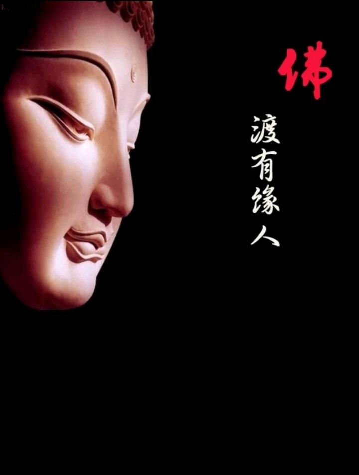 有缘则聚
无缘则散
缘有缘无