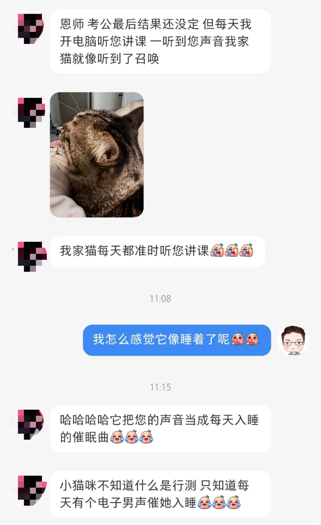 我讲课添新功能了？–猫咪催睡官[石化R