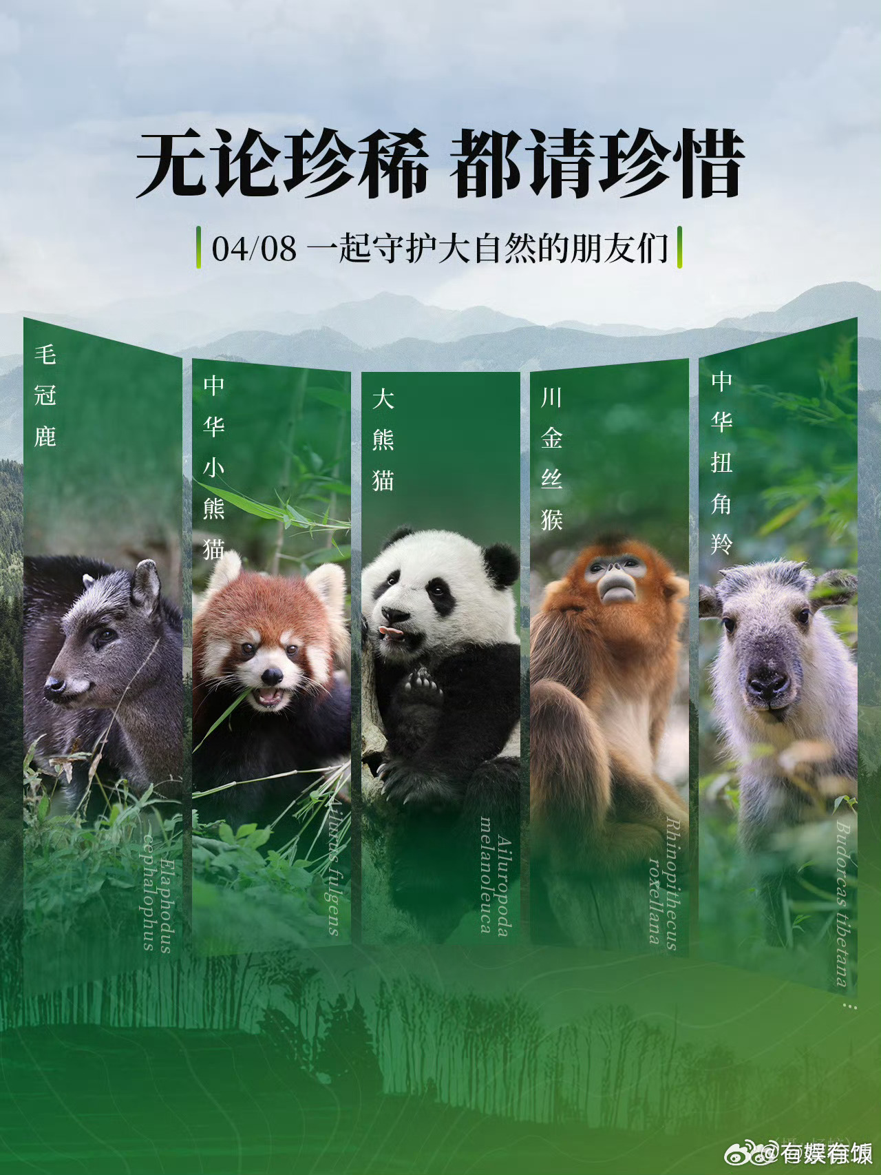 蔡徐坤都请珍惜蔡徐坤无论珍稀蔡徐坤无论珍稀，都请珍惜，