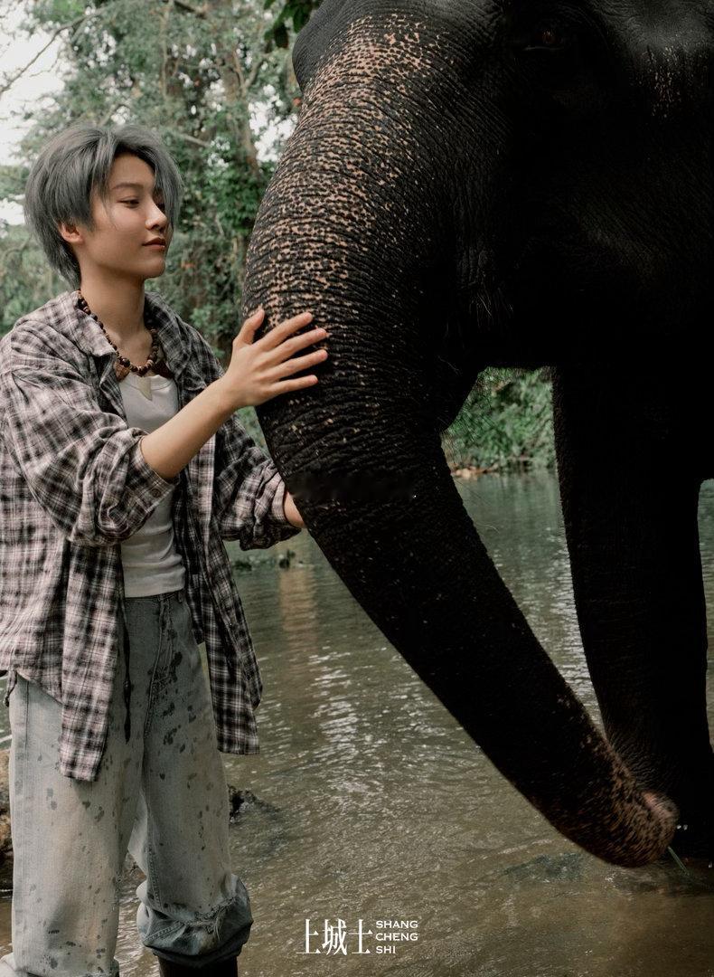 刘雨昕《上城士》2026年三月刊封面发布，斯里兰卡人文风情大片正式上线，这是她今