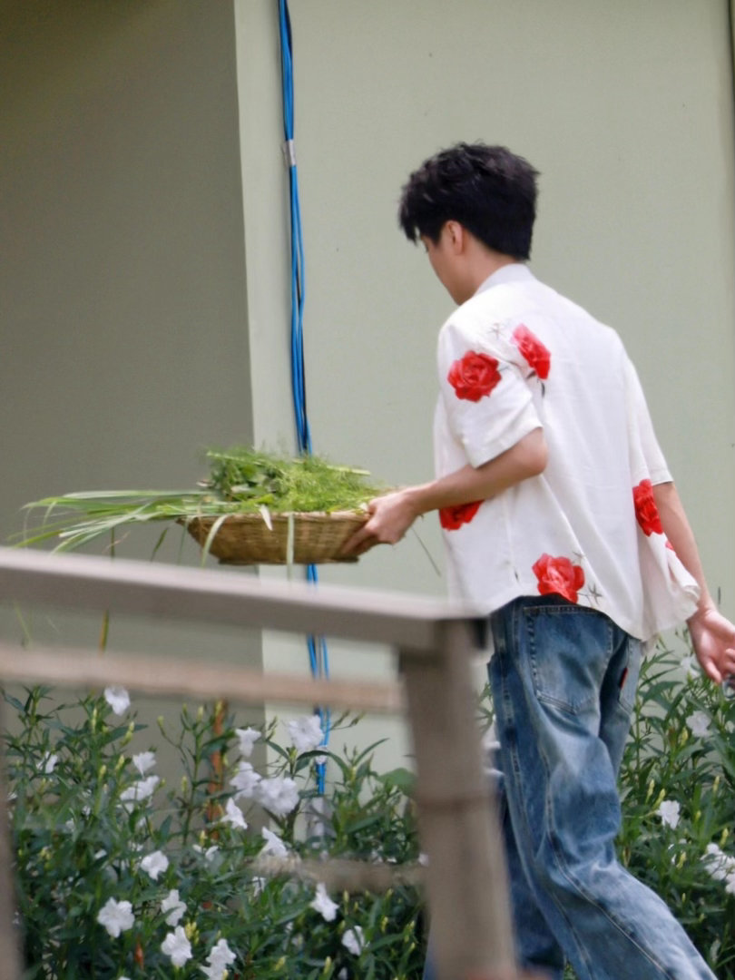 黄晓明大家都很好但我选王俊凯中餐厅 这句式太真实了，像极了平时客套完说真心话的样