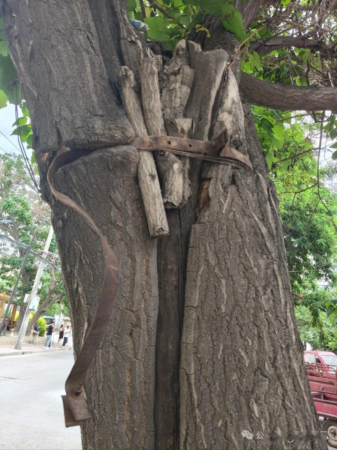一个懒字可以让人生成为笑话
    在精准扶贫过程中，终于深入了解一个人的人生在