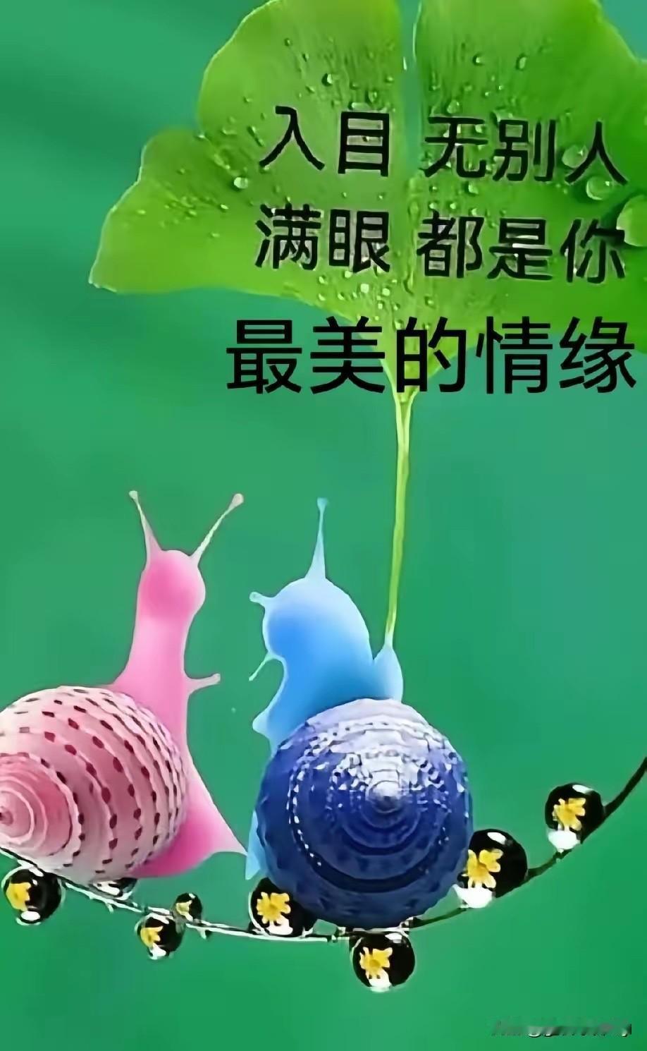 大千世界
人海茫茫
今生能够遇见你
是缘分一道桥
也是命运
最美好的馈赠