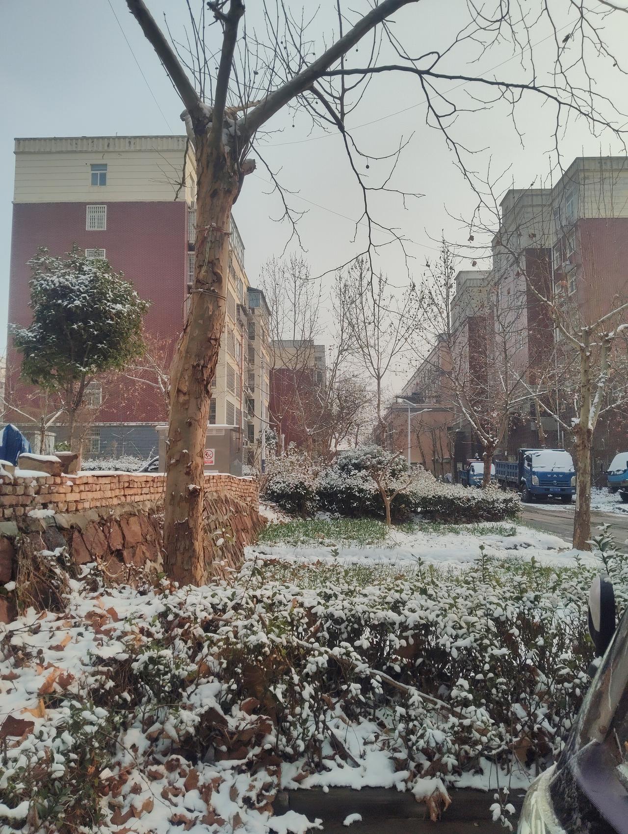 走在雪后的小区里，突然就觉得日子好像也跟这雪景似的，看着冷清清的，可细瞅又藏着点