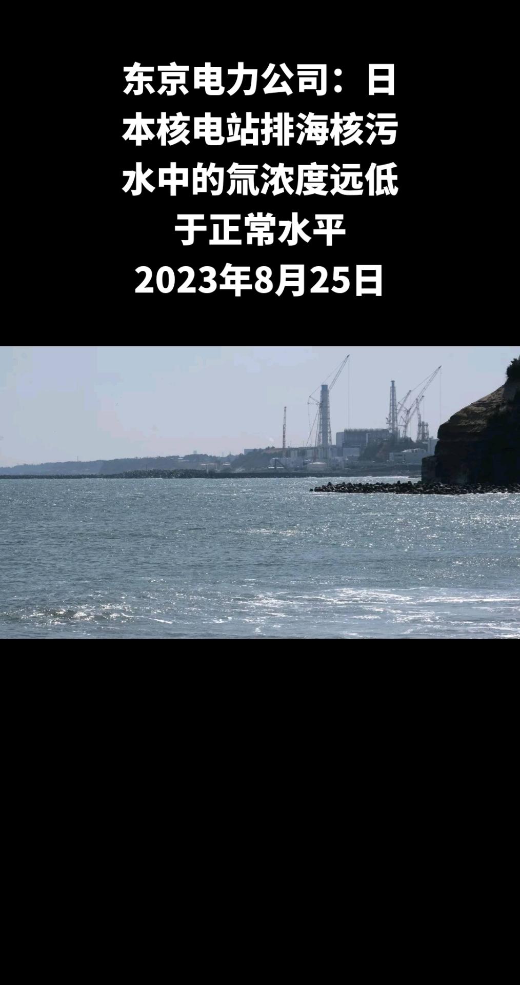 日本福岛第一核电站运营商东京电力公司（TEPCO）的专家称，经过稀释处理的低放射