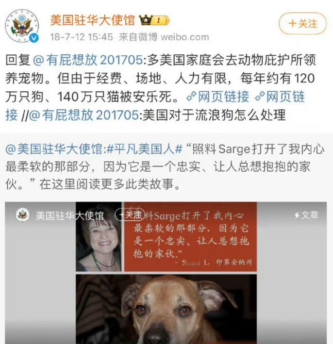 校方回应女生被群狗围堵咬伤20多处「流浪猫狗」也是中文社区经典的回合制议题，往往