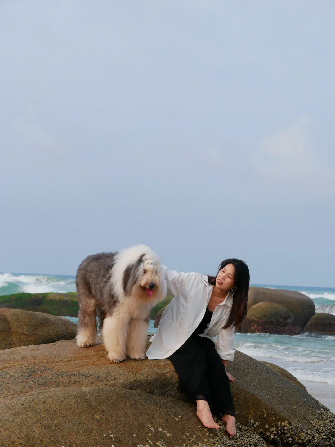 一种很新的旅游搭子|我们在海南