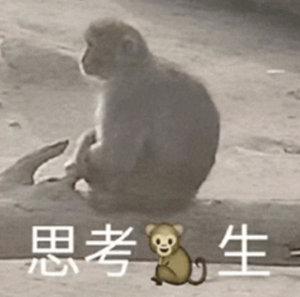 #玲子求婚vlog#势均力敌的爱情：化州首富女儿嫁给高州首富儿子，这个世界果然是