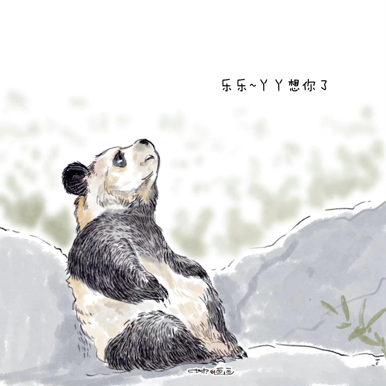 希望丫丫的身体能好起来。熊猫丫丫