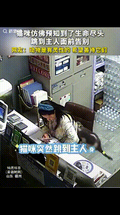 看哭了！山东，夫妻俩收养了一只流浪猫，已经养了有四五年了，奇怪的是，当晚女子睡不