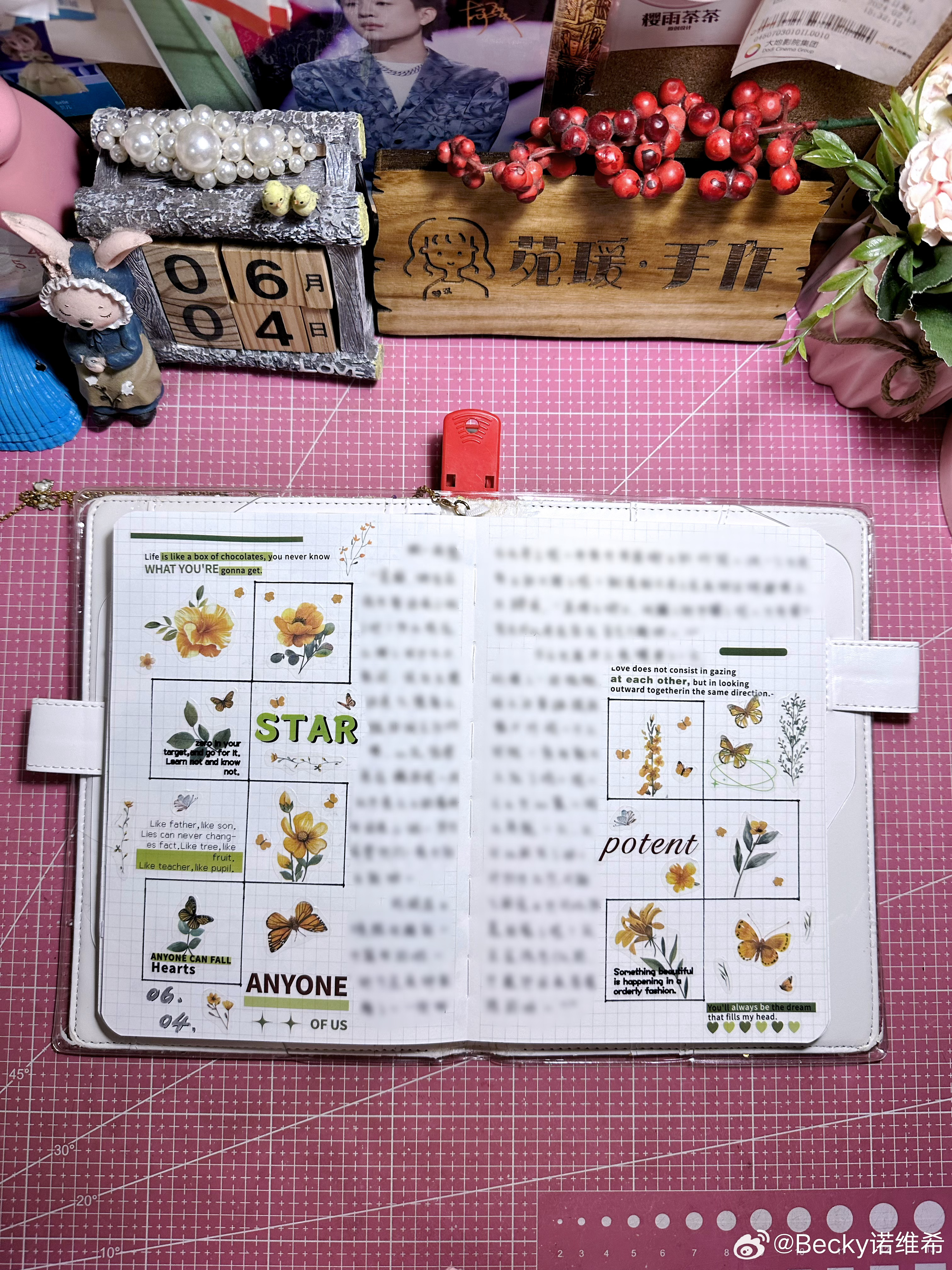【📕 每日手帐日记 📝】🌖🌗🌘🌑🌒🌓🌔🌕🔮 DAY 155