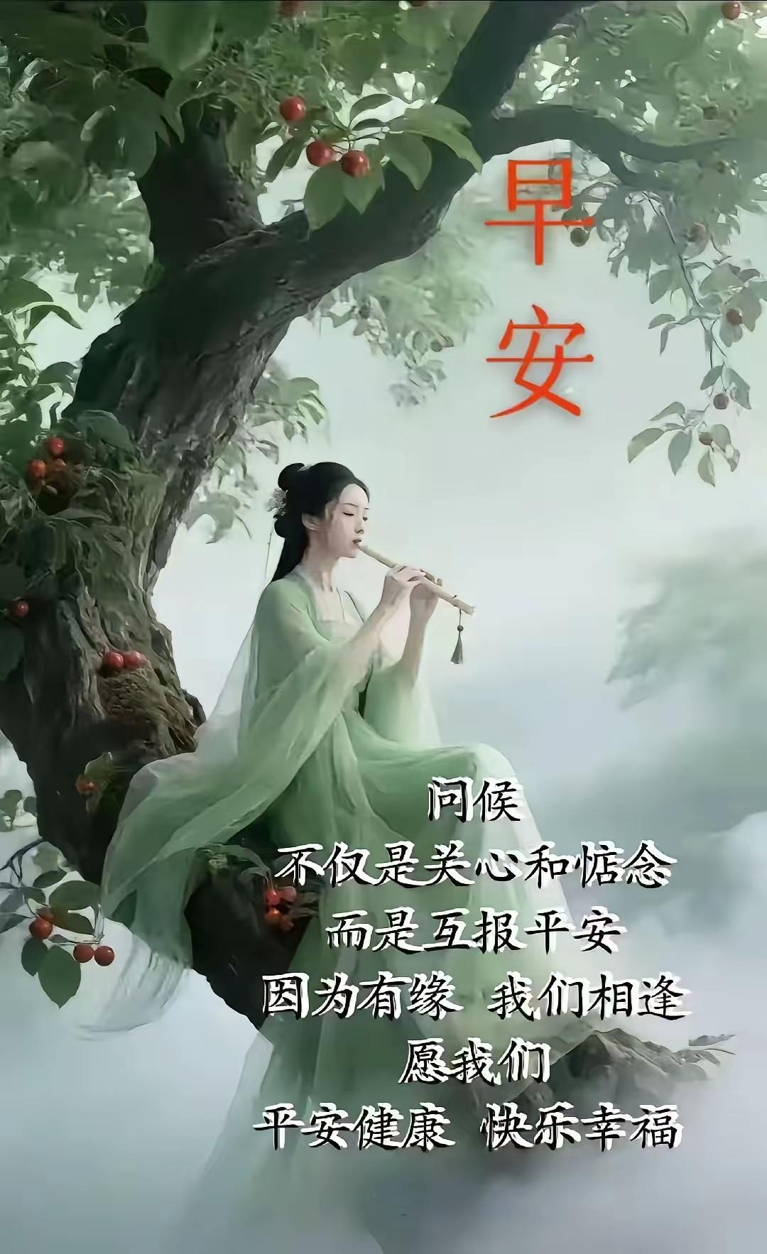 早安问候，愿你平安健康，快乐幸福！🍃🌸