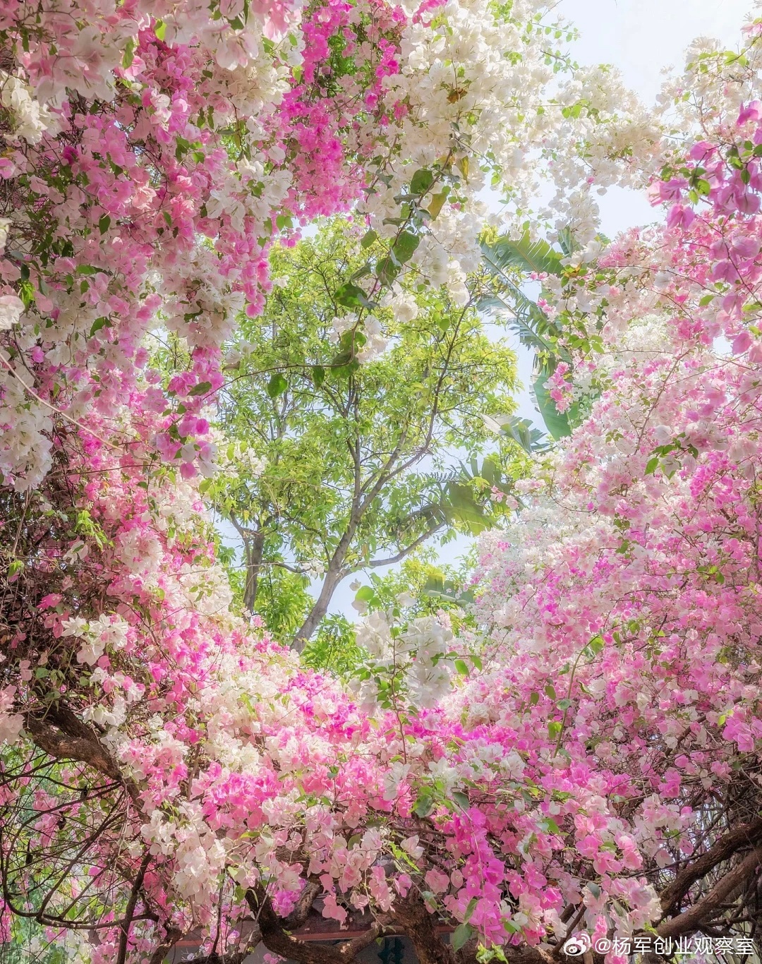【99%老板选它】股权激励持股方式的唯一正解给员工股权，到底该让他直接当股东，还