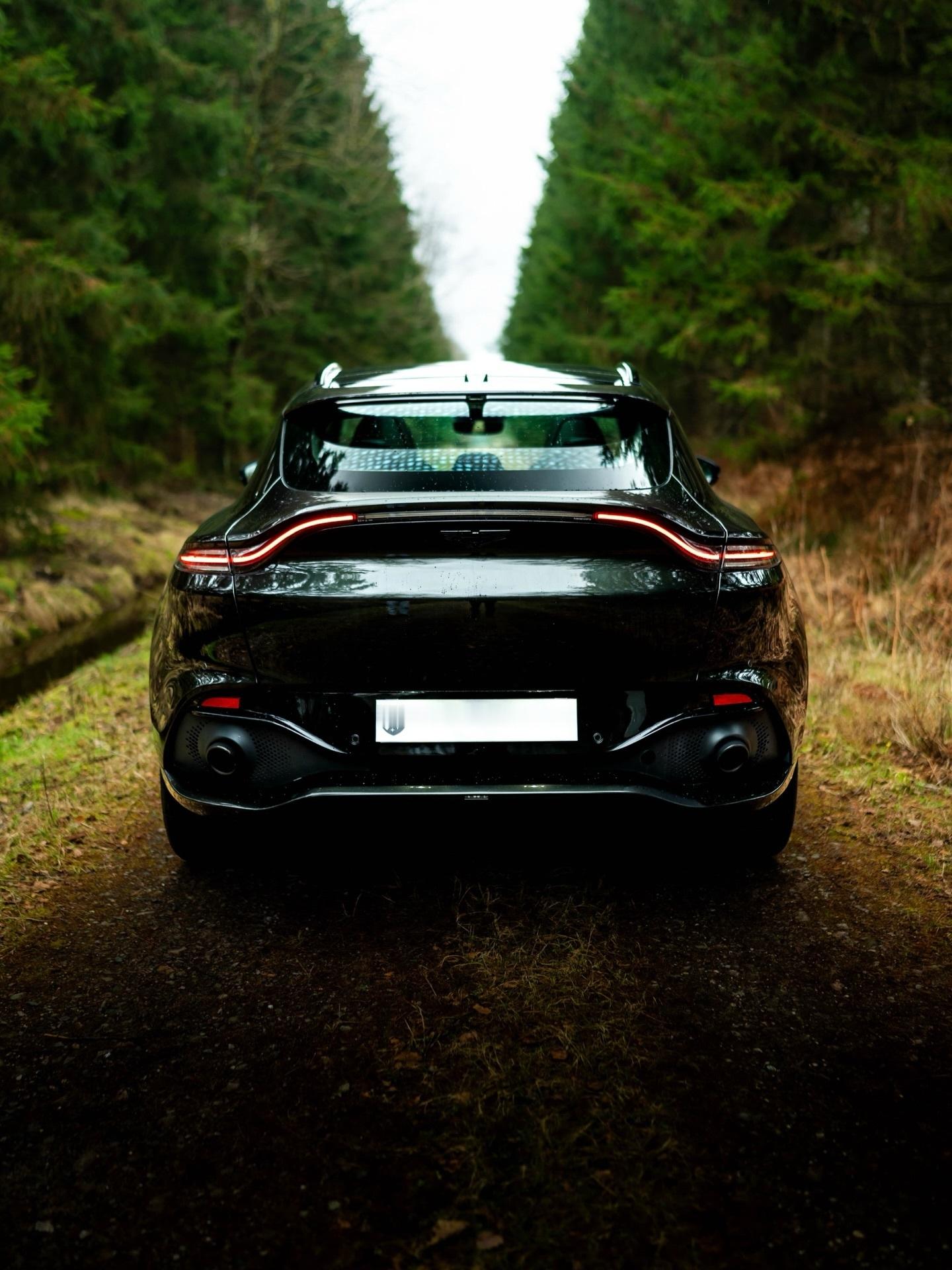 阿斯顿·马丁 DBX 1913 Specification 